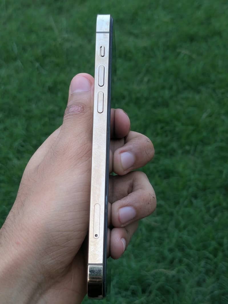 Mobile 1