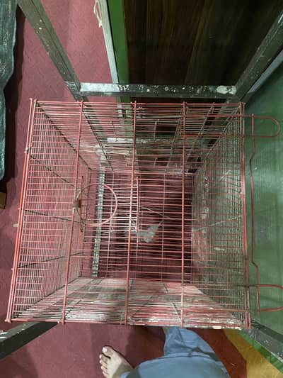 Cages for sale Peshawar