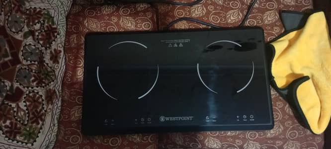 electric stove double