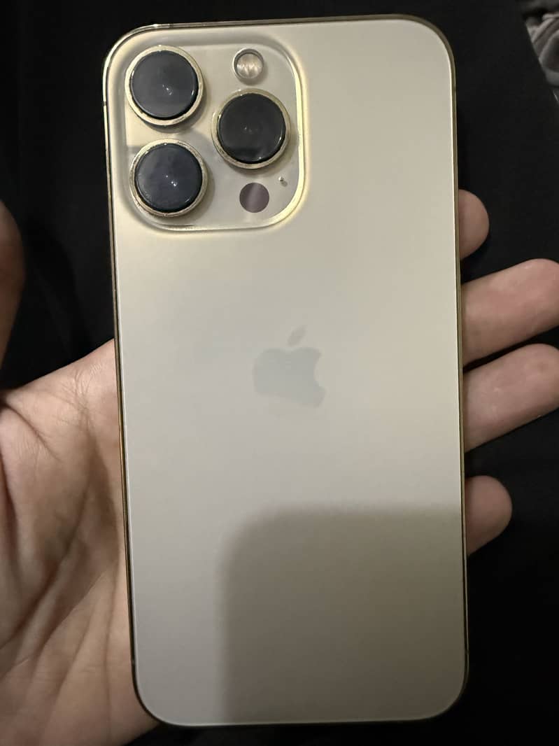 Apple iPhone 13 Pro 0