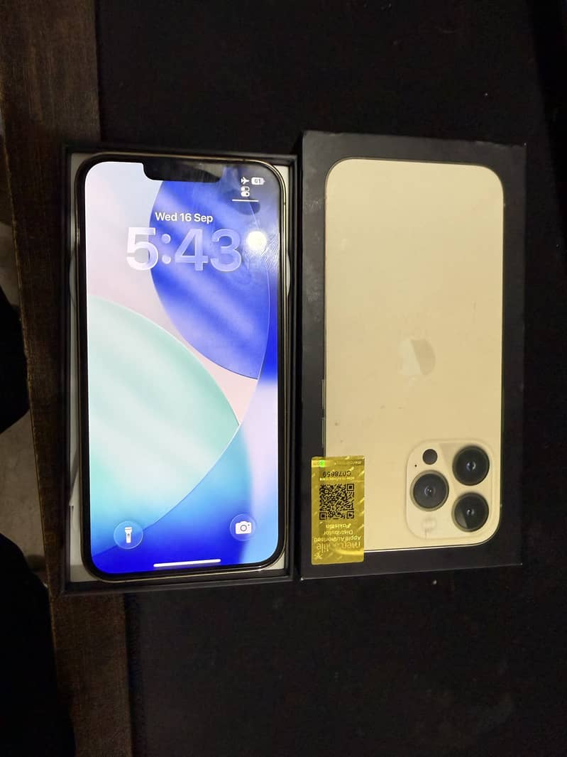 Apple iPhone 13 Pro 1