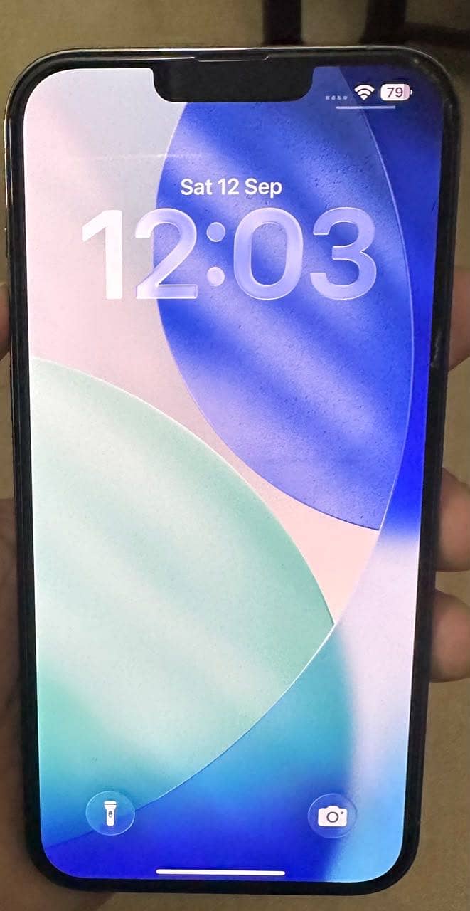 Apple iPhone 13 Pro Max 1