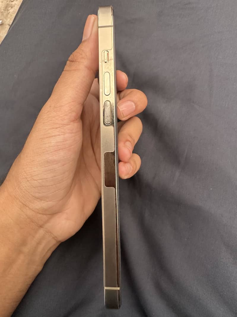 Apple iPhone 14 Pro Max 3