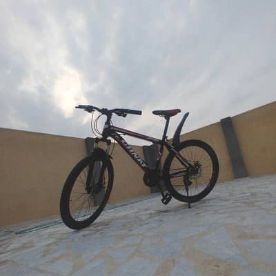 mountain bicycle