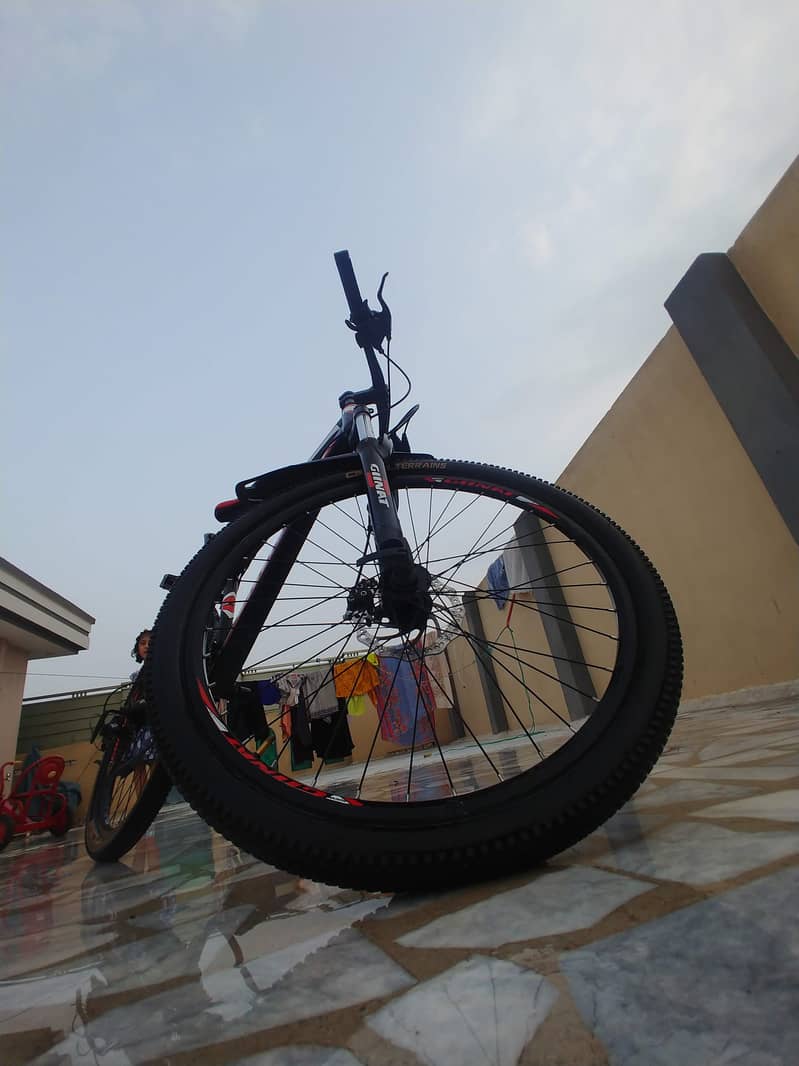 mountain bicycle 1