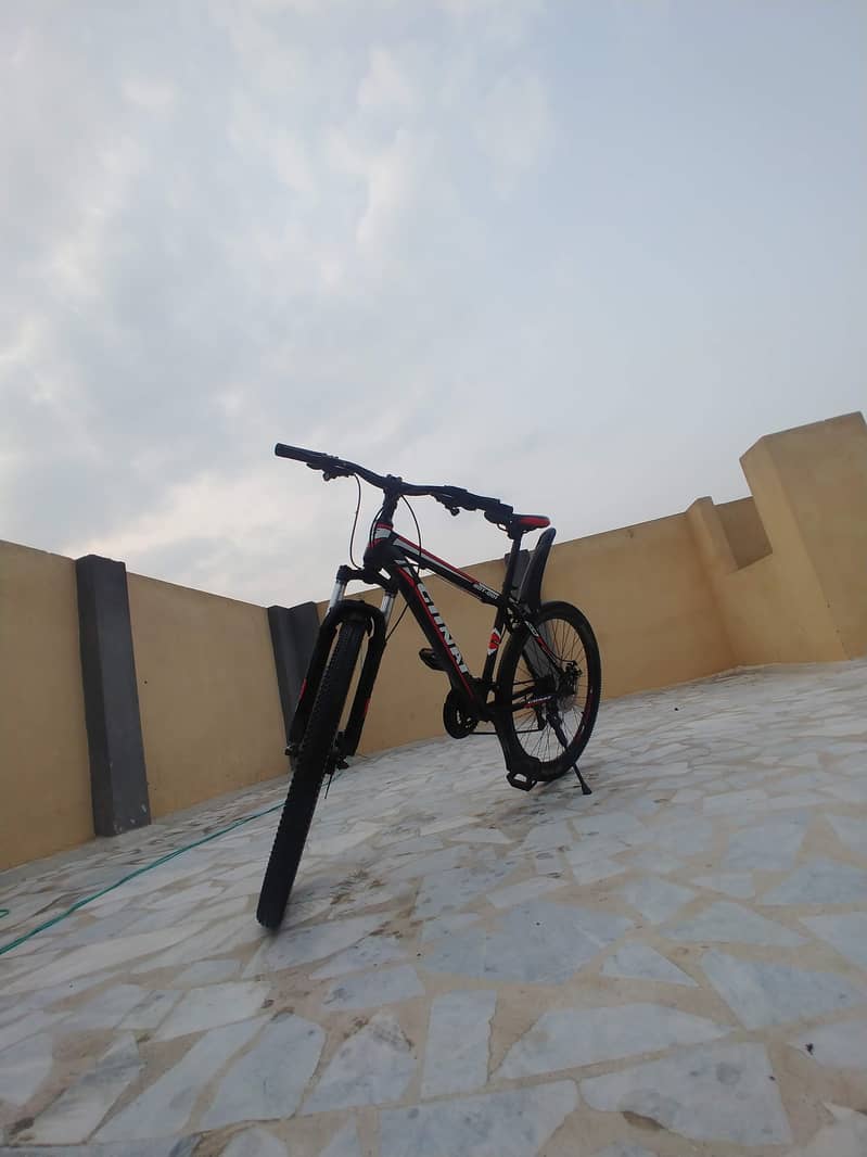 mountain bicycle 2