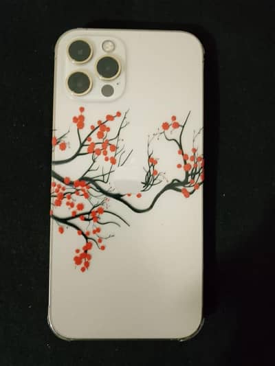 Apple iPhone 12 Pro
