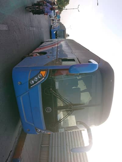 Golden dragon buses