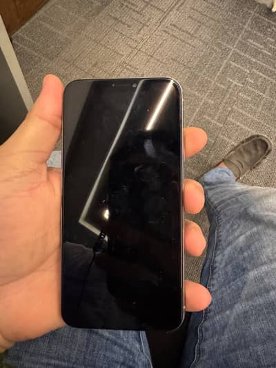Apple iPhone X