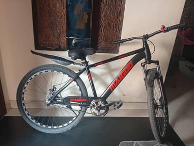 new cycle