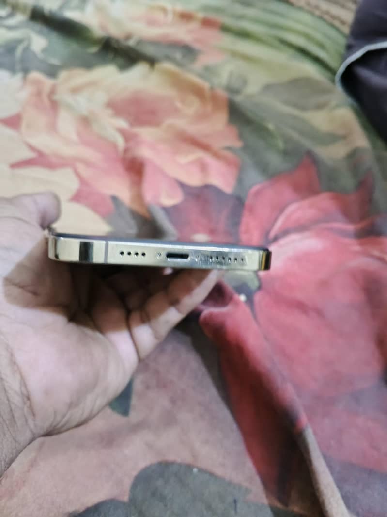 Apple iPhone 12 Pro Max 1