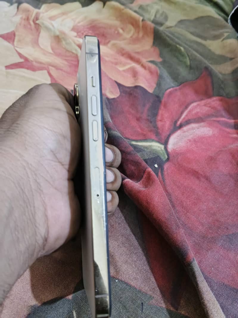 Apple iPhone 12 Pro Max 2