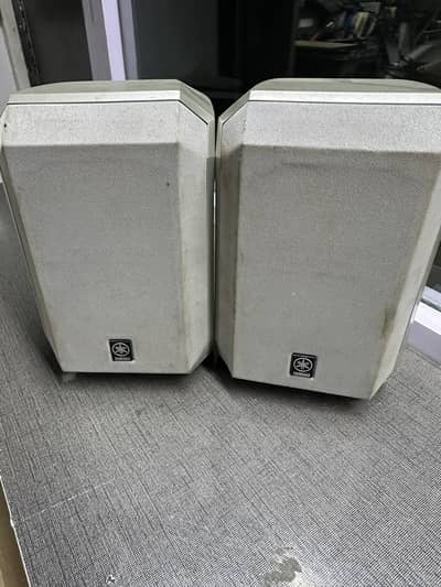 The speaker