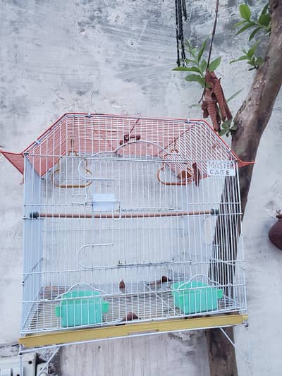 CAGE FOR BIRDS