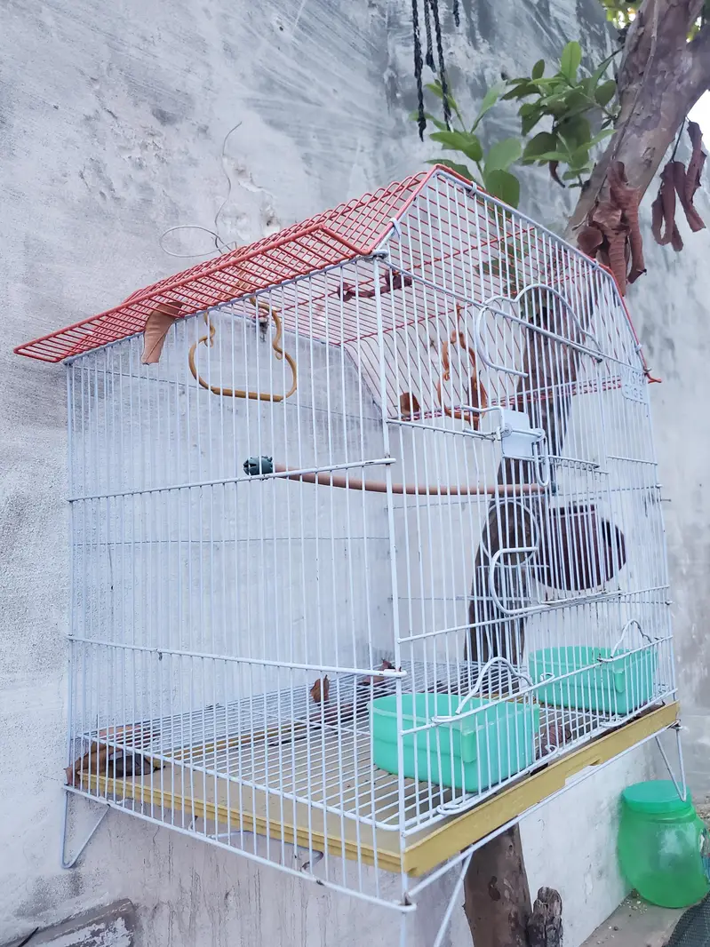 CAGE FOR BIRDS — photo 2
