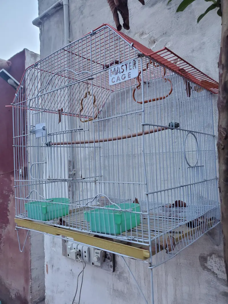 CAGE FOR BIRDS — photo 3