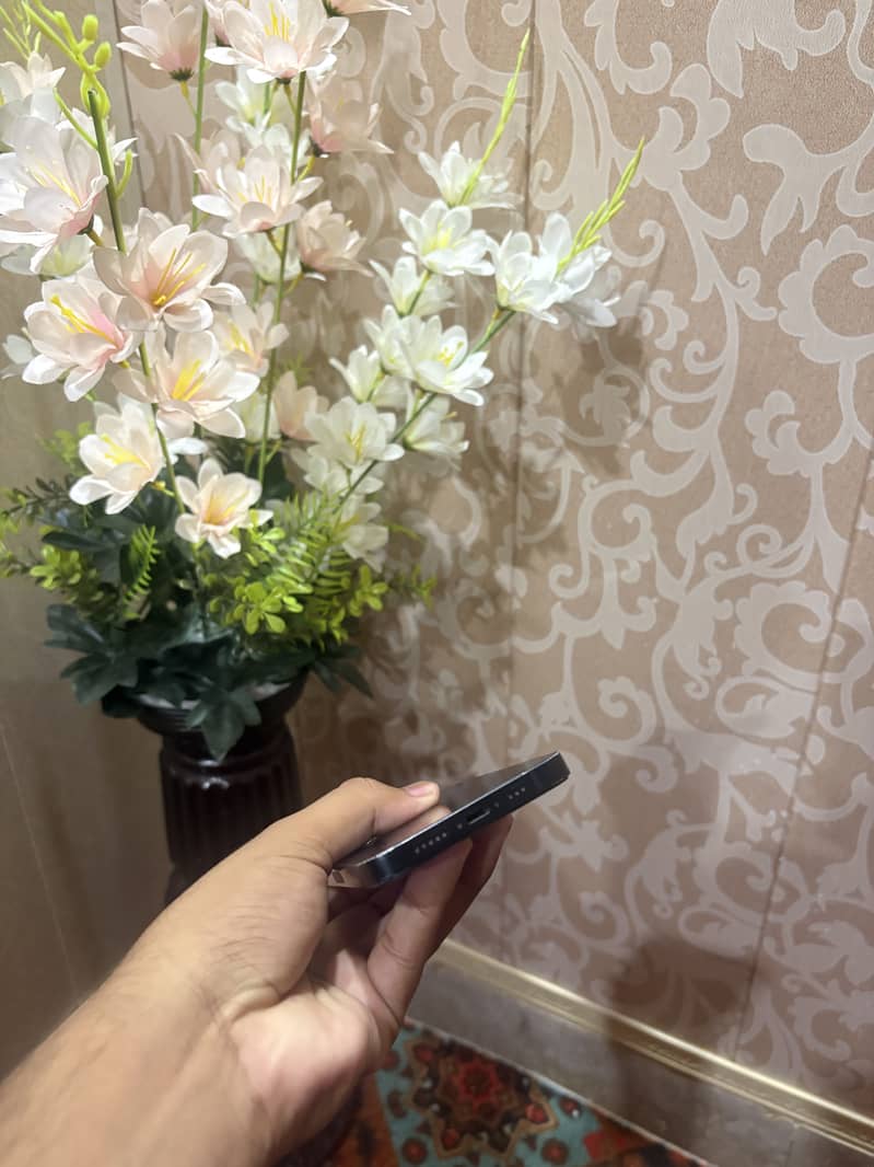 Apple iPhone 13 4