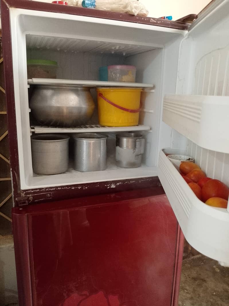 Orient fridge 2
