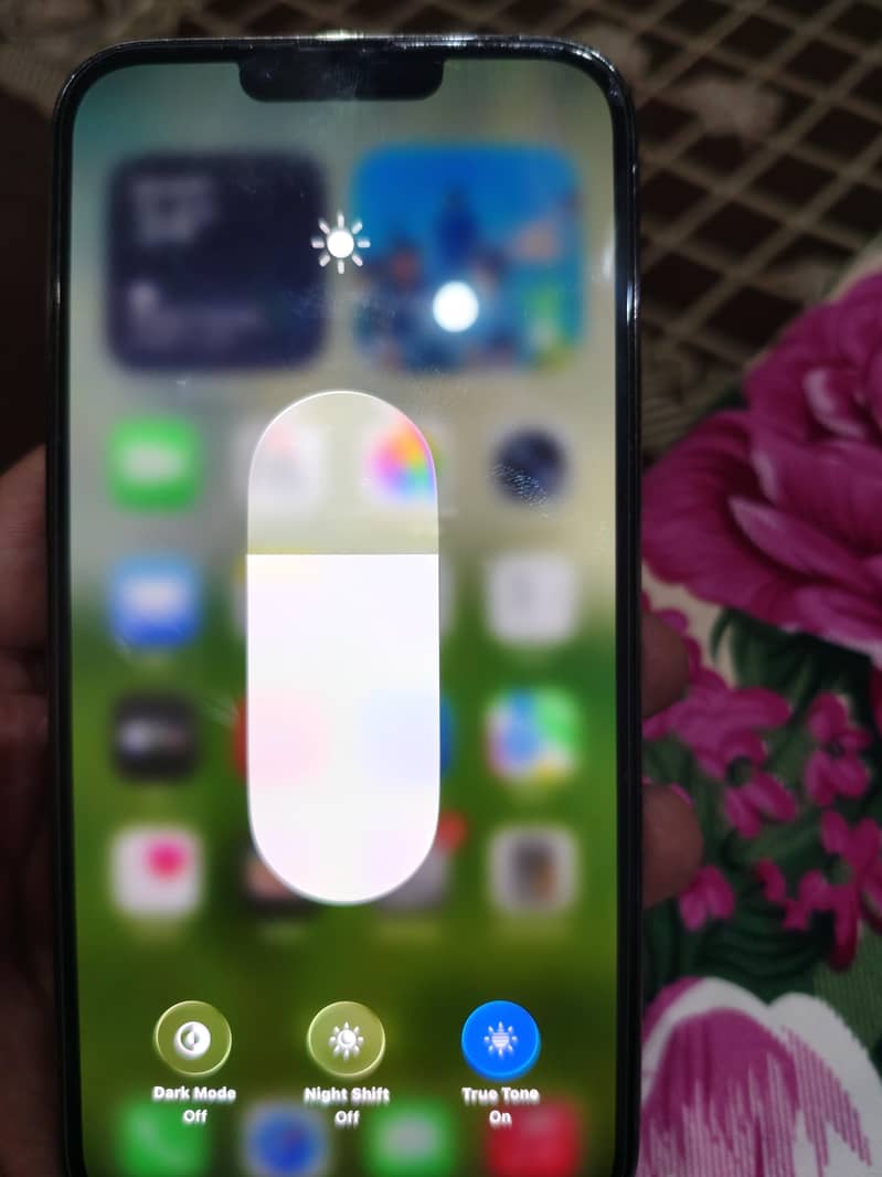 Apple iPhone 13 Pro Max 1