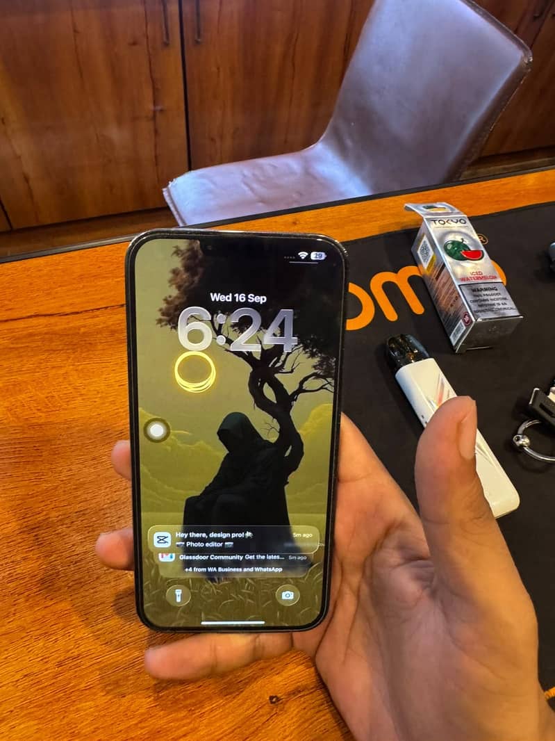 Apple iPhone 13 Pro Max 5