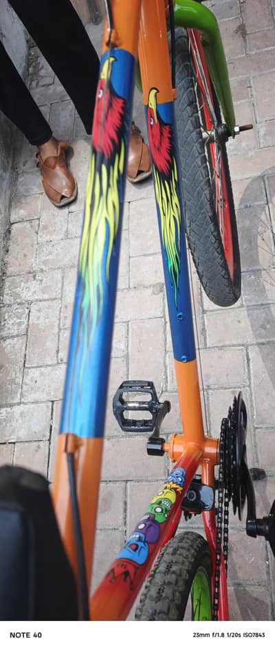Special Bicycle
