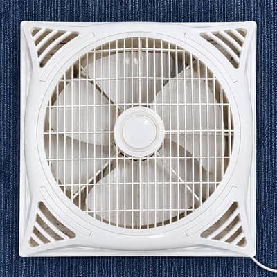 Royal Ceiling Fan