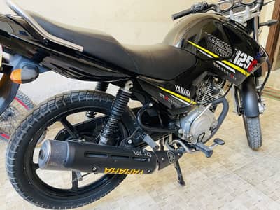 Ybr g 125 lush bike