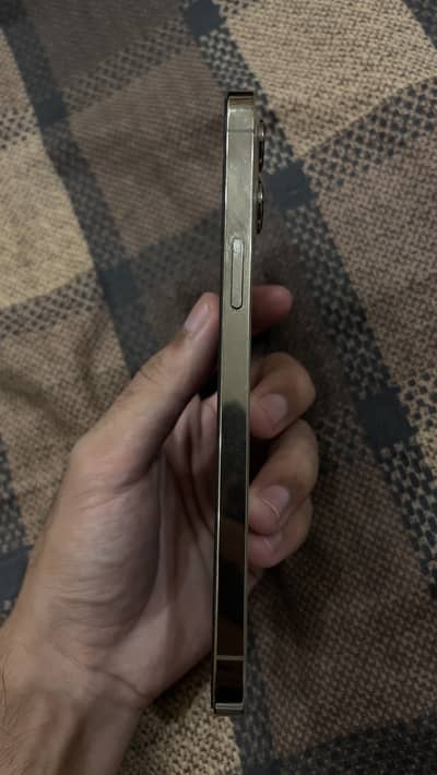 Apple iPhone 12 Pro Max factory unlock non pta 128gb