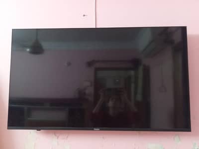Haier T. V
