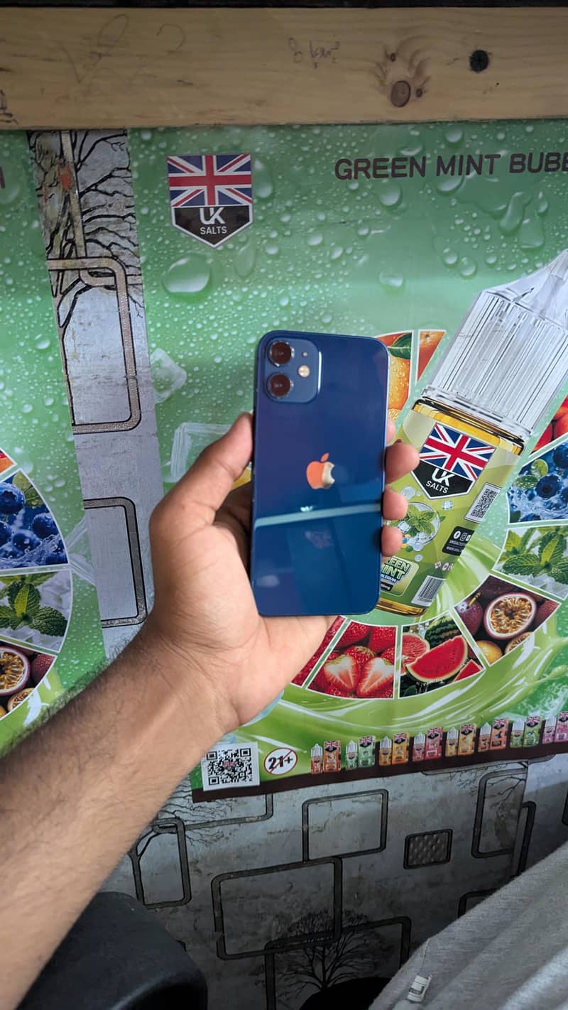 Apple iPhone 12 mini 1