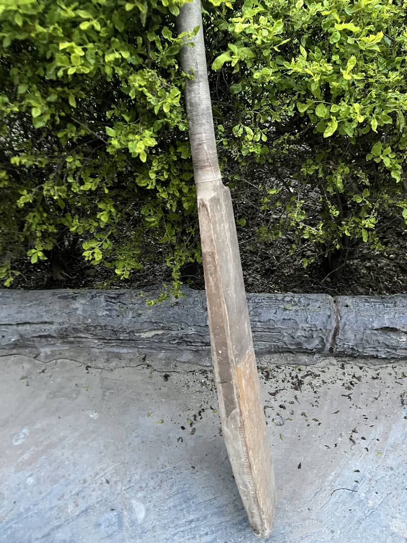 Hard ball bat 1