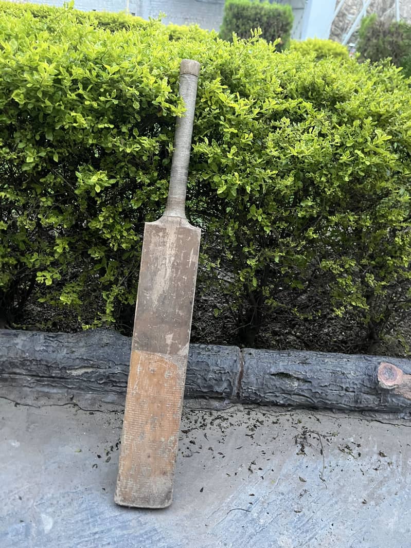 Hard ball bat 2