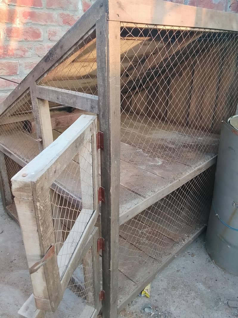 birdcage 1
