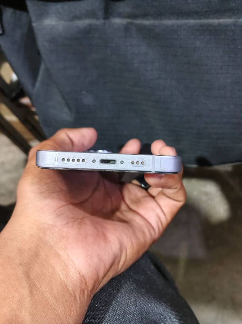 Apple 7