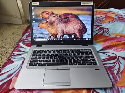 HP EliteBook