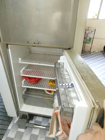 Fridge medium size