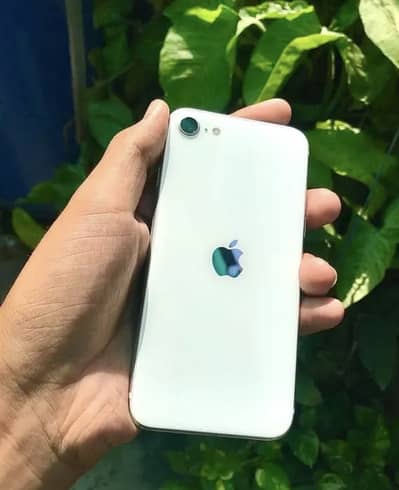 Apple iPhone SE PTA approved