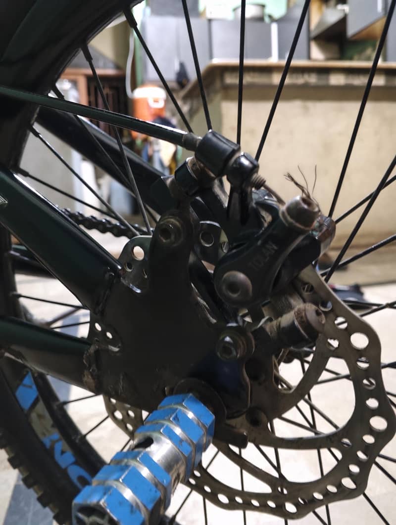 cycle 6
