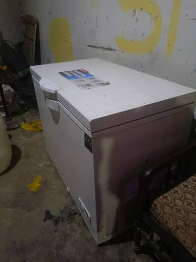 Dawnlace Freezer Medium
