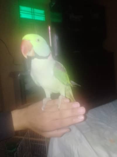 Sari bata karta ha jis ko chaiya is number par WhatsApp kara 347905289