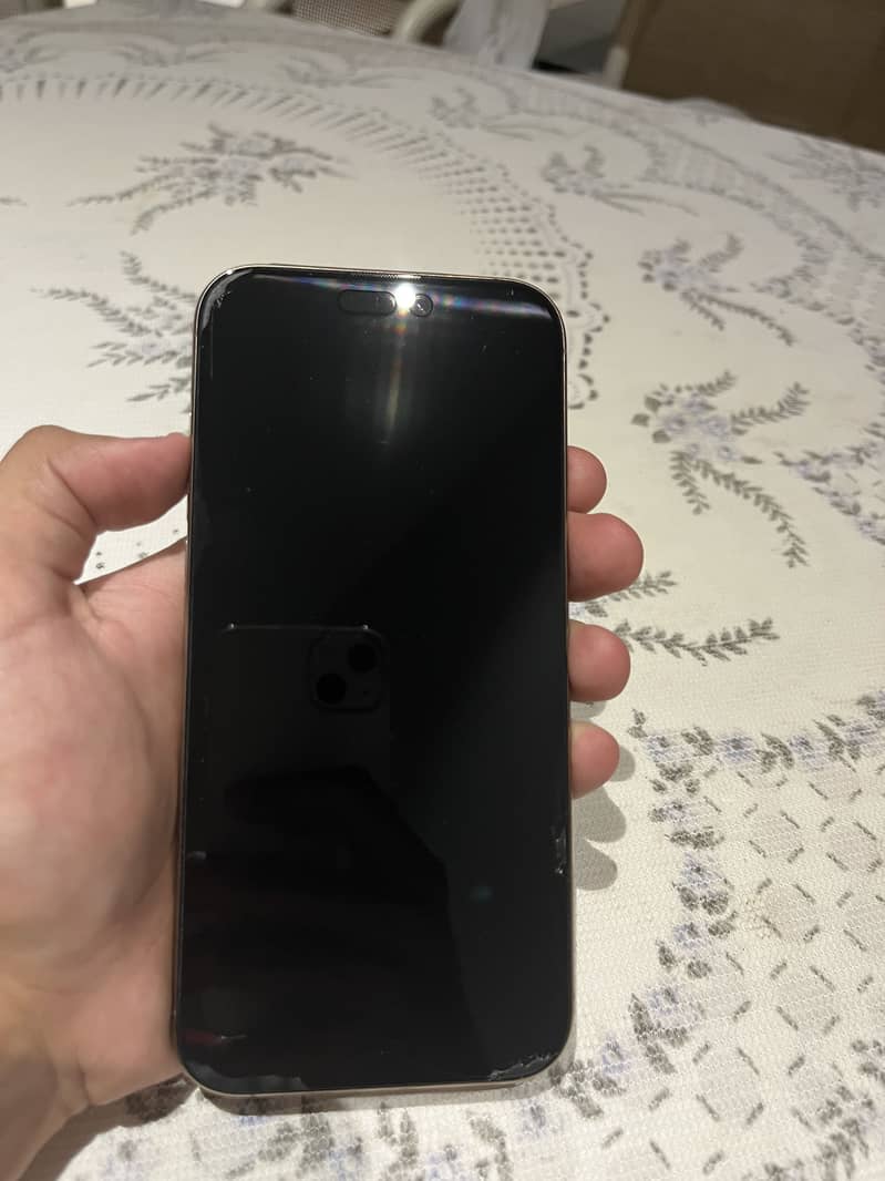 Apple iPhone 16 Pro Max 1