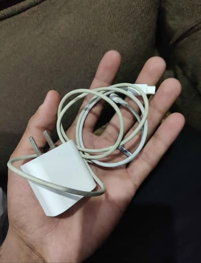 Apple Charger & Cable (Original)