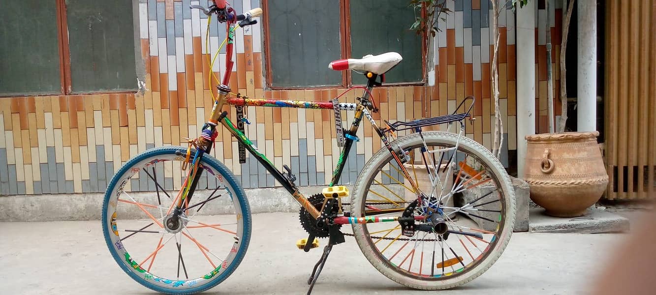 Phoenix Bicycle 1