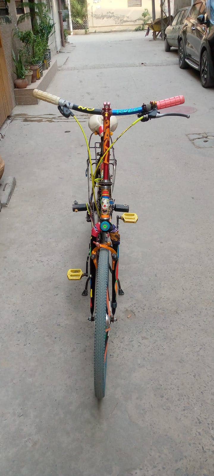 Phoenix Bicycle 2
