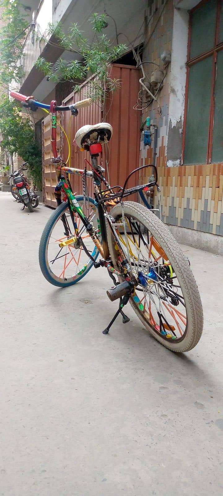 Phoenix Bicycle 5