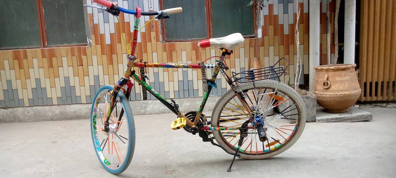 Phoenix Bicycle 6