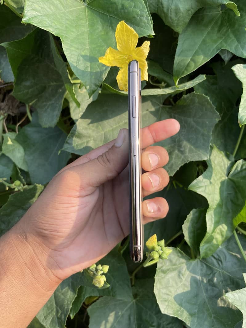 Apple iPhone XS Max 1