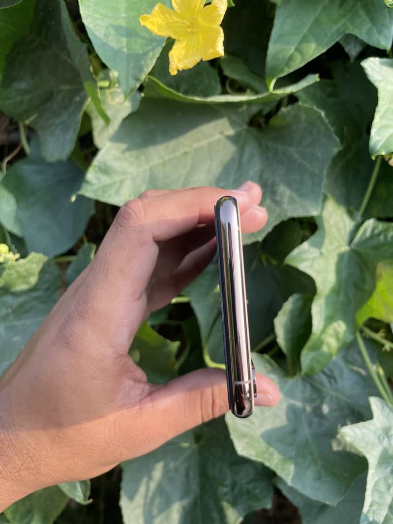 Apple iPhone XS Max 2