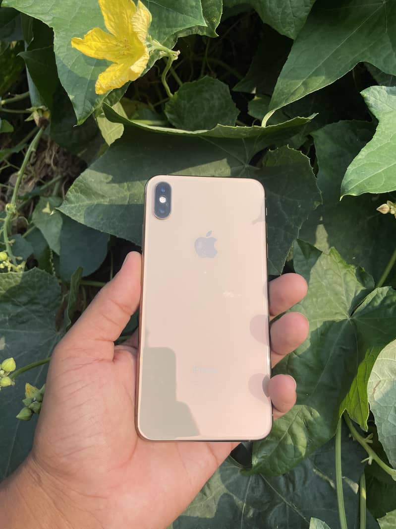 Apple iPhone XS Max 4