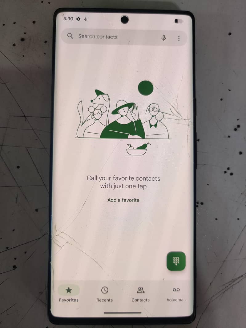 Google Pixel 6 Pro 1